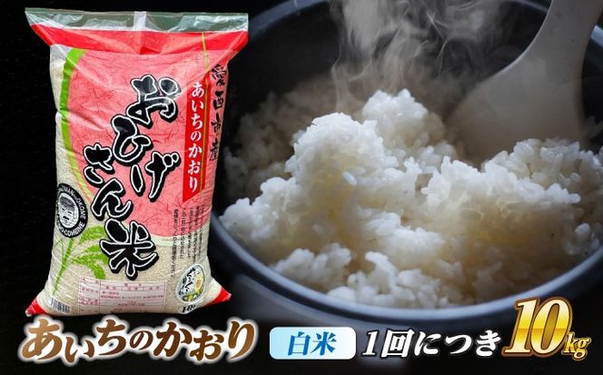 【12回定期便】あいちのかおり 白米 10kg×12か月 / 脇野コンバイン[AECP009]