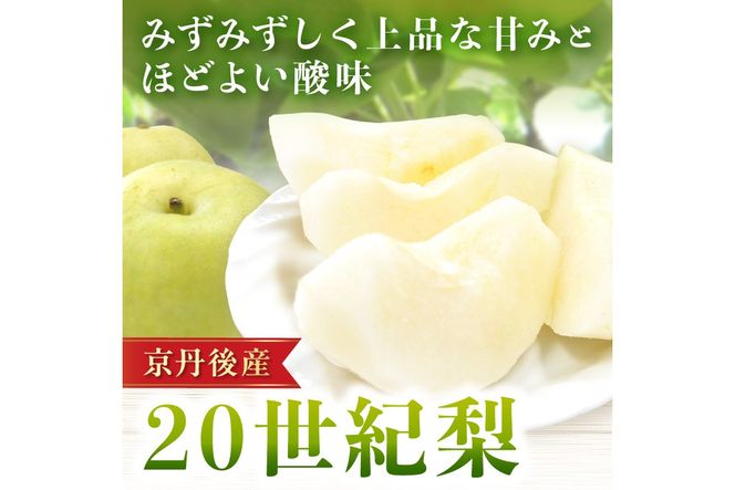 【先行予約／数量限定150】20世紀梨 5kg（2026年9月上旬～発送）　JK00038