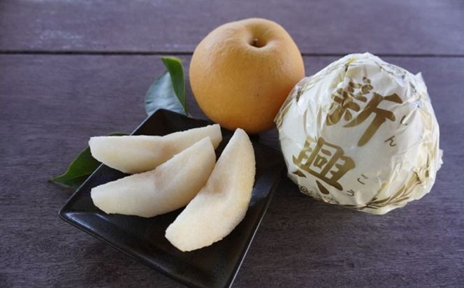 梨　新興梨　約5kg（9～14玉入り）　国産 期間限定 デザート 甘い ジューシー ふるさと 納税 梨 なし ナシ 5kg  先行予約 ふるさと 納税 フルーツ くだもの 　TO00134