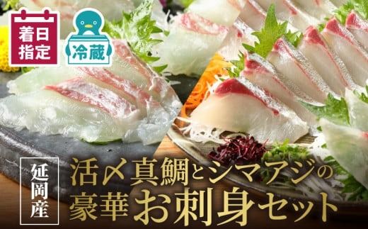 y{茧szYY^ƃV}AW̍؂hgZbg@N019-YZC804@֐Y