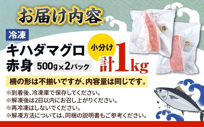 冷凍キハダマグロ 1kg (500g×2パック) マグロ まぐろ 小分け 冷凍 刺身 赤身 沖縄市 / 沖縄市漁業協同組合 パヤオ直売店[BCDZ001]