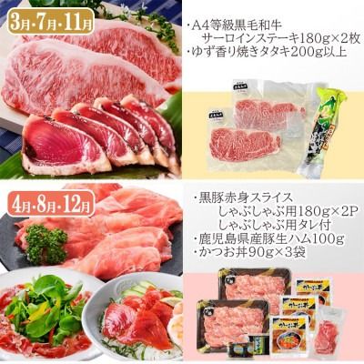 定期便(4回配送)黒毛和牛&黒豚・かつお・さつまあげ NN-0040 【1166778】
