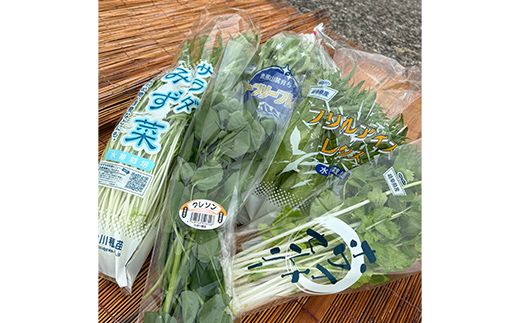 採れたて新鮮 水耕野菜のサラダセット 5種 フリルアイスレタス・グリーンリーフレタス・サラダ水菜・クレソン・ホワイトセロリ 野菜 新鮮 サラダ F4N-3097