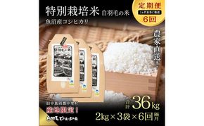 【通年受付】≪令和8年産≫【定期便／1ヶ月おき全6回】農家直送！魚沼産コシヒカリ特別栽培「白羽毛の米」精米(2kg×3袋)×6回 36kg お米 白米 ご飯