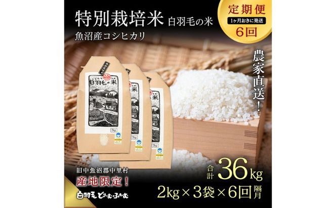 【通年受付】≪令和8年産≫【定期便／1ヶ月おき全6回】農家直送！魚沼産コシヒカリ特別栽培「白羽毛の米」精米(2kg×3袋)×6回 36kg お米 白米 ご飯
