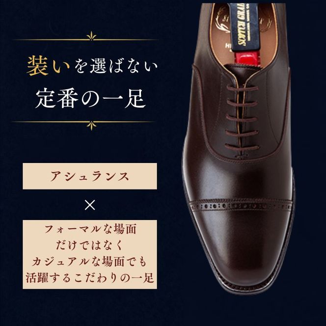 スコッチグレイン ビジネスシューズ メンズ アシュランス 3536CHO パンチドキャップトゥ 革靴 本革 日本製 EEE 送料無料 ギフト