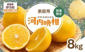 【先行受付】【数量限定】【家庭用】河内晩柑（生果）8kg（2027年5月中旬頃より順次発送） IKTQ008