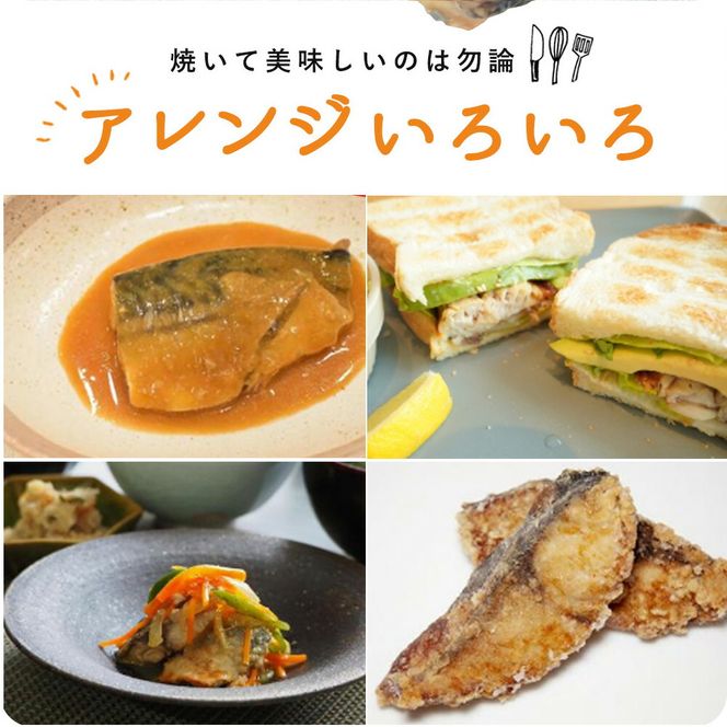 【全3回】大容量！ ご家庭用 塩さばフィレをたっぷりお届け定期便 / さば サバ 鯖 フィレ 切り身 切身 魚 海鮮 焼き魚 おかず 定期便【tkb354】