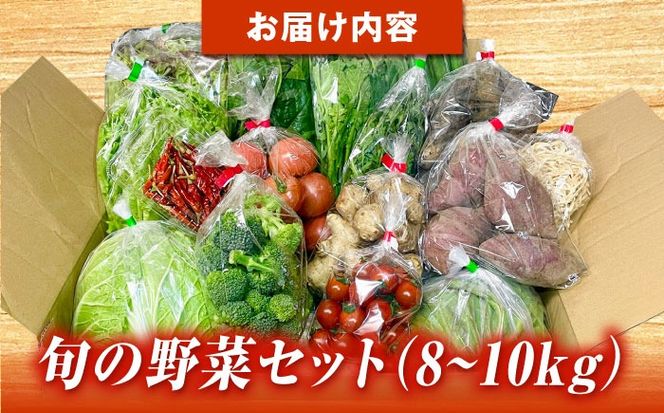 とくとく市場厳選 旬の野菜詰合せ セット 【有限会社FKMジャパンダイニング】 野菜BOX 旬 厳選 【配達不可：離島】[AEAE001]