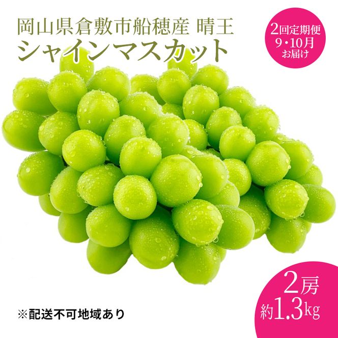ぶどう 2026年度分 先行予約 【プレミアムシャインマスカット 晴王 2房 約1.3kg 定期便 2回】船穂産　赤秀品以上  岡山県産 葡萄 ブドウ ギフト ハレノフルーツ 皮ごと食べる みずみずしい 