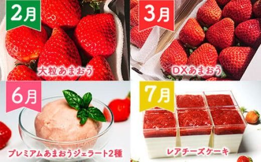 いちご あまおう 大粒あまおう 定期便 DXあまおう ジェラート 2種 レアチーズケーキ 6p 詰め合わせ 【2027年発送】 期間限定発送 [THE FARM_strawberry 福岡県 宇美町 um40azo780010] 先行予約 あまおう 大粒 イチゴ 苺 フルーツ 果物 果実 甘い あまい 小分け 冷凍 アイス ケーキ チーズケーキ 定期