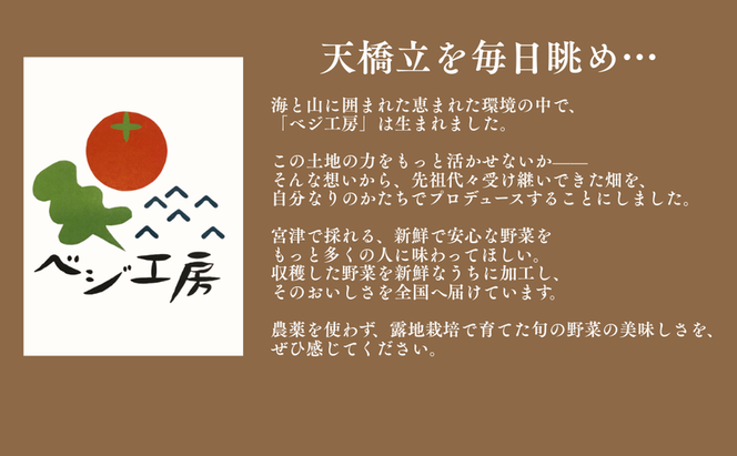 セミドライ苺チョコレート（7個入り＋4個入りの二箱セット）| お菓子 おかし おやつ スイーツ チョコレート ドライ苺 ギフト
