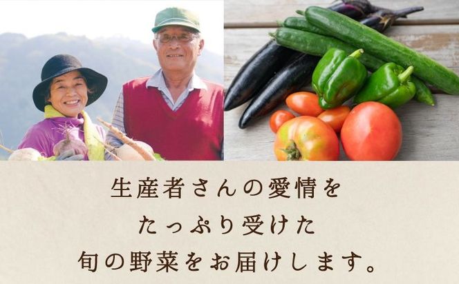 ふるさとお節介ギフト【夏】 (2026年7月上旬～8月下旬発送予定) / 先行予約 産地直送 農家 新鮮 あぐりガーデン 夏野菜 カット野菜 国産 たまご 平飼い卵 岡山県 真庭市 yasai034 【配送不可地域：北海道／沖縄県／離島】 【jujy091-01】