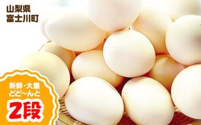  B1808濃厚な味わい！ひまわりたまご（２段）※破卵補償10個含 卵 鶏卵 玉子