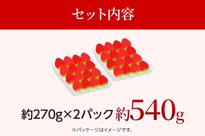 【先行受付】農家直送 朝採り新鮮いちご【博多あまおう】＜1月下旬より順次発送＞ 約270g×2パック 福岡県産 苺 イチゴ 朝採れ 冷蔵 スイーツ ジュース ギフト プレゼント お土産 九州 福岡土産 ※北海道・沖縄・離島は配送不可