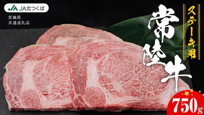 y錧}szy JAk z 헤 [X Xe[Lp 750g ( 250g × 3 ) uh  A5 A4   a  ɂ Xe[L ē o[xL[ Mtg  蕨 錧ʕԗi [AE039ci]