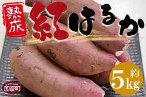 ＜数量限定！ 国富町産 熟成紅はるか 約5kg＞翌月末迄に順次出荷【a0611_mf】