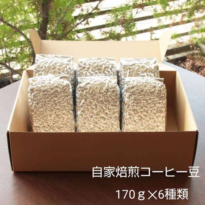 【挽き方：豆】お家でカフェ♪アメリカンスペシャリティ認定豆170ｇ×6袋 322032_DC001VC01