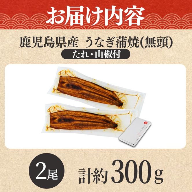 【0104347a-2609】＜9月上旬発送予定＞東串良町のうなぎ蒲焼(無頭)(2尾・計約300g・タレ、山椒付) うなぎ 高級 ウナギ 鰻 国産 蒲焼 蒲焼き たれ 鹿児島 ふるさと 人気【アクアおおすみ】