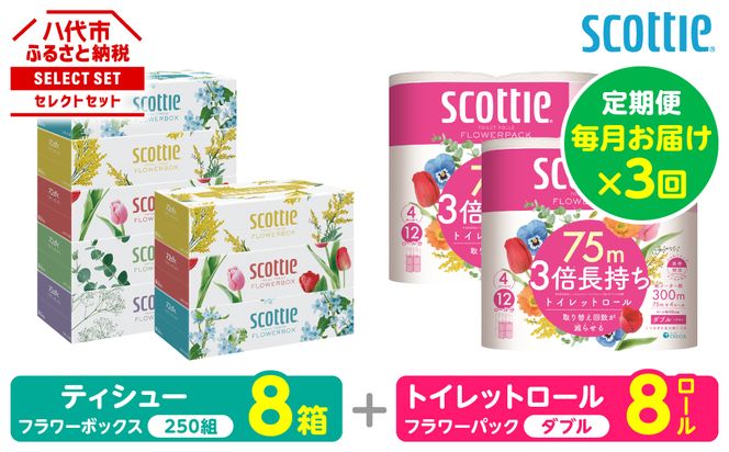 【定期便3回】【毎月お届け】【スコッティ】 組み合わせ ティシュー フラワーボックス 250組 8箱 計24箱 トイレットロール ダブル フラワーパック 3倍長持ち 8ロール 計24ロール ティッシュ トイレットペーパー 日用品 防災備蓄 ストック 備蓄 新生活 防災 消耗品 生活用品 日用消耗品 箱ティッシュ