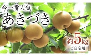 今一番人気 『 あきづき 』 5kg ( 自家用 ) 2026年産 先行予約 フルーツ 果物 国産 日本産 梨 ナシ なし 和梨 [DJ003ci]
