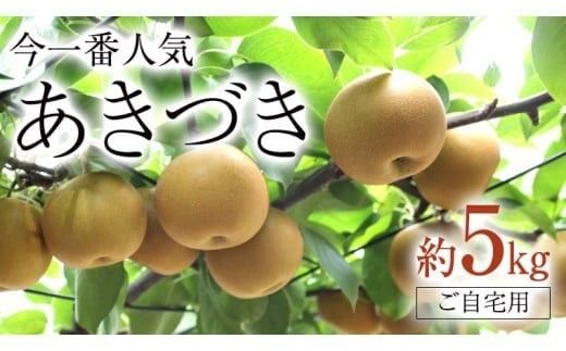 今一番人気 『 あきづき 』 5kg ( 自家用 ) 2026年産 先行予約 フルーツ 果物 国産 日本産 梨 ナシ なし 和梨 [DJ003ci]