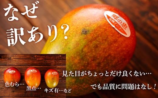 【訳あり】 1.5kg 大崎完熟マンゴー「郷の恵（さとのめぐみ）」加工用マンゴー（糖度10度前後） 464686_BD008
