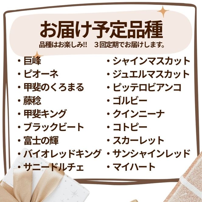 『何が届くかお楽しみ』ぶどう王国山梨の2種定期便 167-193-26y