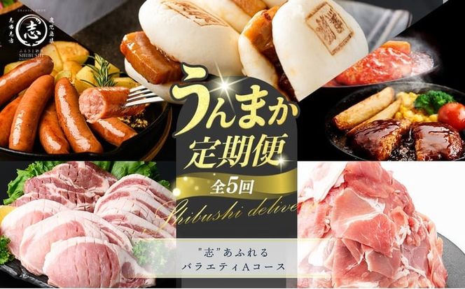 【定期便全5回】鹿児島県産 黒豚バラエティAコース！志布志うんまか定期便 t0064-003