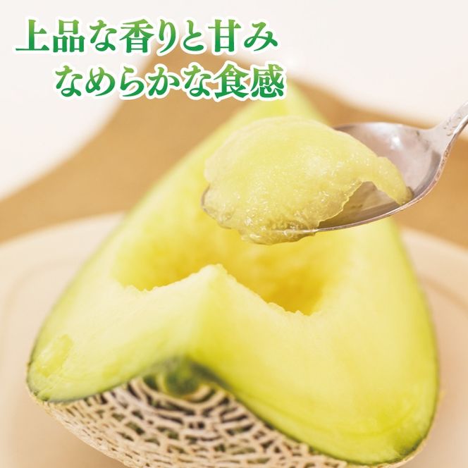 【数量限定】アールスメロン1玉｜青肉・高糖度｜なめらかで上品な甘さ｜メロンの王様｜メロン　ご褒美　デザート　ギフト　益子町　（AA040）