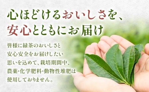村茶季園　すっきり煎茶　ティーバッグ8袋入り　CS-1　農薬不使用　化学肥料不使用