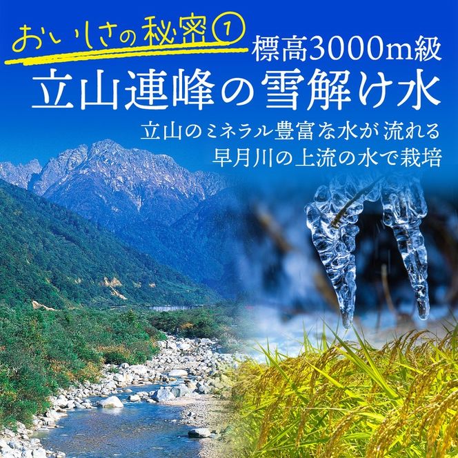 【先行予約】新米 富山湾一望米　コシヒカリ 精米 【容量5kg】【2025年10月より順次発送】