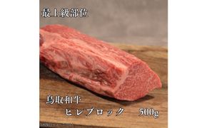 鳥取和牛　ヒレブロック500g 313726_DC019
