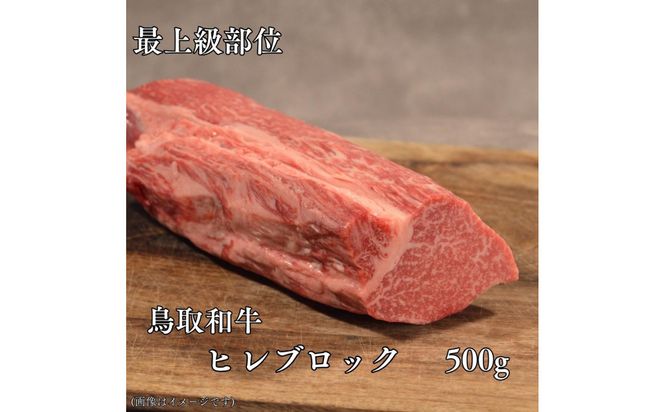 鳥取和牛　ヒレブロック500g 313726_DC019