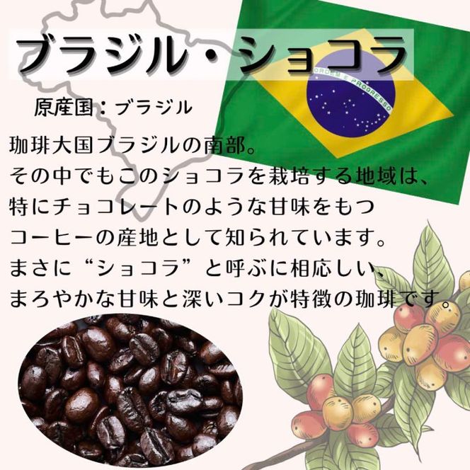 【定期便】自家焙煎 人気珈琲豆 3種セット（6か月）