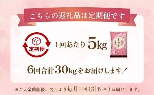 【1ヶ月毎6回定期便】 はるかおり5kg 計30kg ／ 米 コメ お米 ライス ご飯 ごはん 飯 食品 精米 定期便 常温 福岡県 香春町