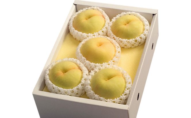 桃 2026年 先行予約 岡山 清水 白桃 5～7玉 合計1.5kg以上  もも モモ 岡山県産 国産 フルーツ 果物 ギフト 環山堂 