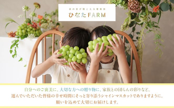 1039.【家庭用】波の音が聴こえる葡萄畑　ひなたFARM シャインマスカット 313726_CD002