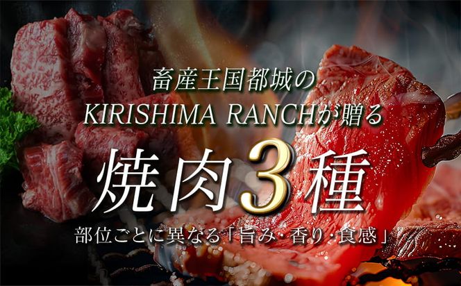 【国産黒毛和牛】モモ・カタ・カルビ焼肉セット 1kg_AC-E903