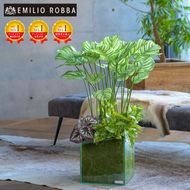 アートフラワー エミリオ・ロバ ギャザリングカラテア TTTTA06800
