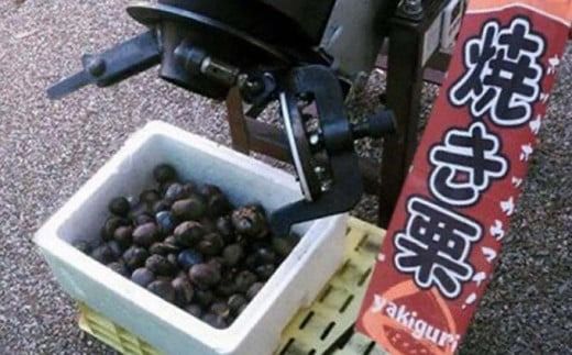 100％小布施栗の焼栗 約450g ［おぶせファーマーズ］ 果物 フルーツ 栗 くり 焼き栗 長野県産 信州産 令和7年産【2025年10月下旬〜11月下旬発送】 ［F-36］