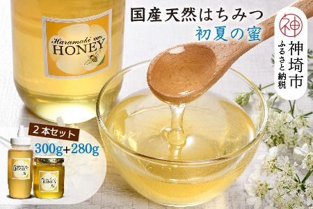 【数量限定】2024年産 国産天然蜂蜜（初夏の蜜）300g & 280g【合計580g】【蜂蜜 パンケーキ ヨーグルト 甘み フルーティ とろとろ】(H049128)