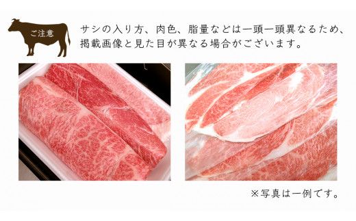 【 12ヶ月 定期便 】『 常陸牛 』 ご自宅用 すき焼き しゃぶしゃぶ用 ( 霜降 ) 1.6kg 肩 ･ 肩ロース ･ ロース ( 茨城県共通返礼品 ) 黒毛和牛 和牛 国産牛 霜降り肉 訳あり わけあり ご家庭用 国産 霜降り お肉 肉 すきやき A4ランク A5ランク ブランド牛  自宅用 簡易包装 ご家庭用 家庭用 12回定期 [BM115us]