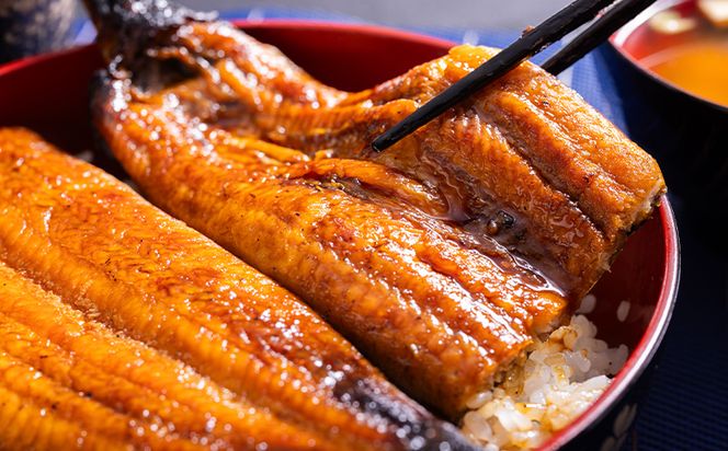 うなぎ蒲焼 10尾(合計約2200g) 高知県産養殖 土用の丑の日 鰻 ウナギ 蒲焼き かば焼き かばやき うな丼 うな重 須崎市道の駅 高知県 香南市 ss-0037