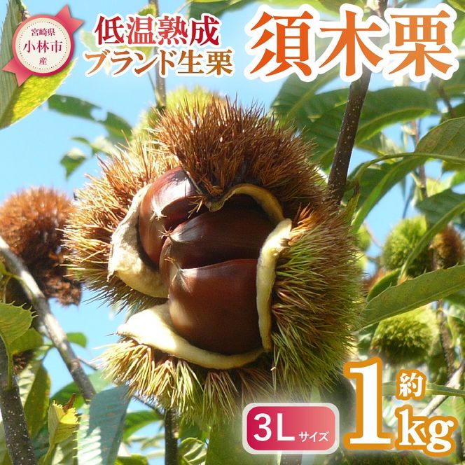 y{茧юszyԁEʌIzyቷnzuhIu{،Iv3LTCY 1kgxiI } I n ʕ t[c  H {j