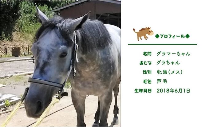 張子の馬 グラマー グレー バージョン 馬 うま 置物 インテリア 張子 張り子 干支 手造り オリジナル [№5735-3258]