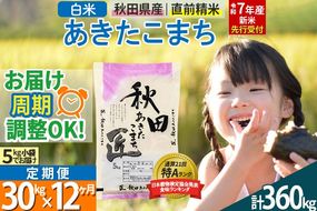 【白米】＜令和7年産 新米予約＞ 《定期便12ヶ月》秋田県産 あきたこまち 30kg (5kg×6袋)×12回 30キロ お米【お届け周期調整 隔月お届けも可】 新米|02_snk-011012s