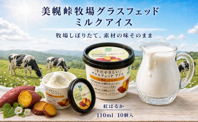 美幌グラスフェッドアイス　有機紅はるか　10個