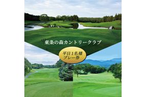 東条の森カントリークラブ 平日 1名様 プレー券 東条の森CC [ ゴルフ 加東市 兵庫県 関西 ゴルフ場 ] ゴルフ場利用権 