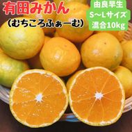 有田みかん 由良早生S〜Lサイズ混合 約10kg 【2026年発送 先行予約】 ER02